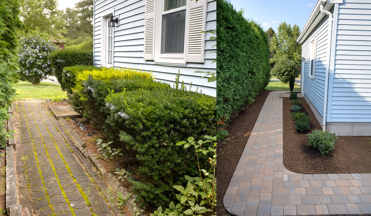 Before and after landscaping transformation – project 6