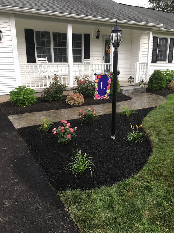 Avalon Landscape Design completed project 2